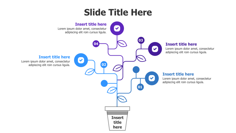 4-Point Plant Growth Mind Map