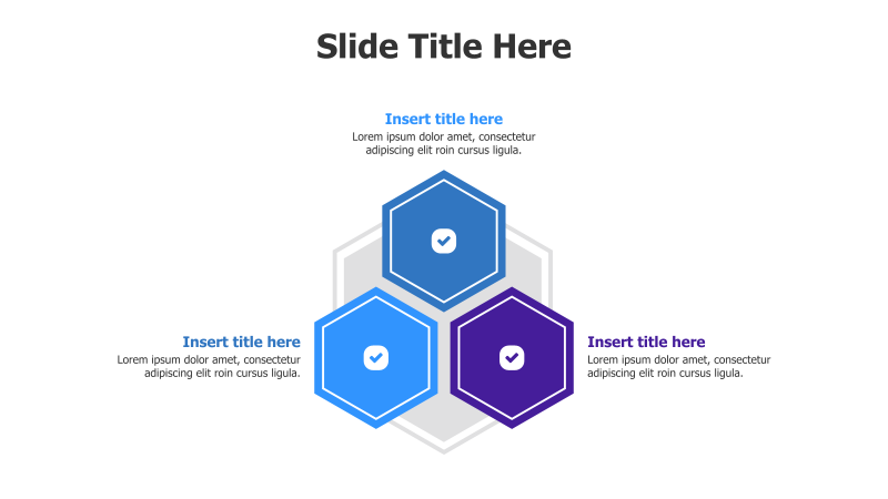 3-Point Hexagon Infographic
