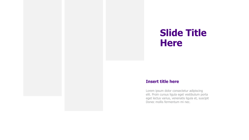 Image & Text Placeholder Slide
