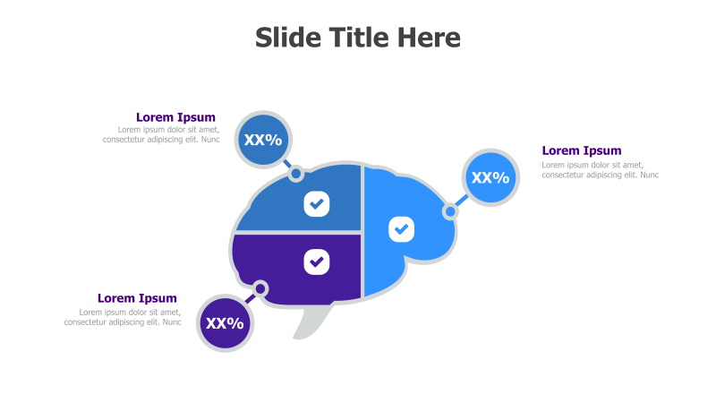 3-Point Brain Infographic