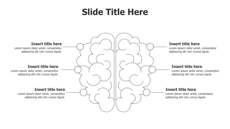 6-Point Brain Infographic