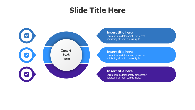4-Point Divided Circle Infographic