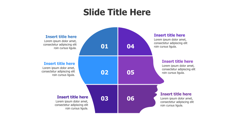 6-Point Brain Infographic