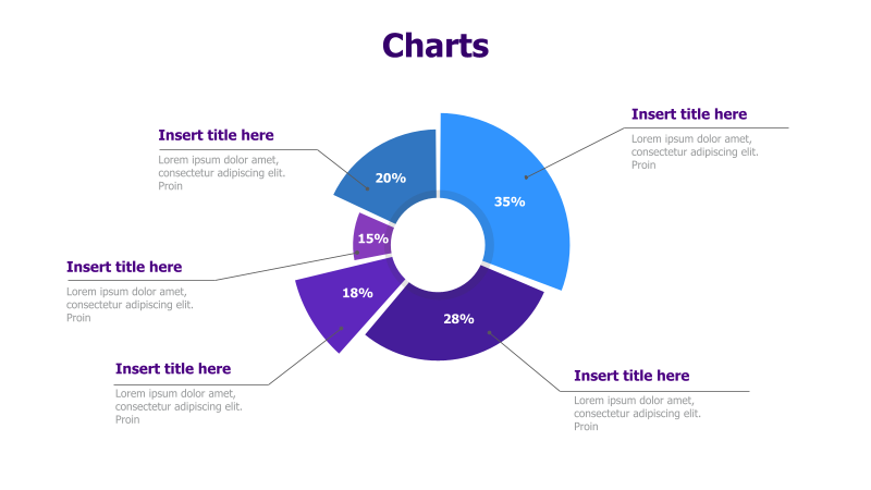 5-Point Pie Chart with Descriptions