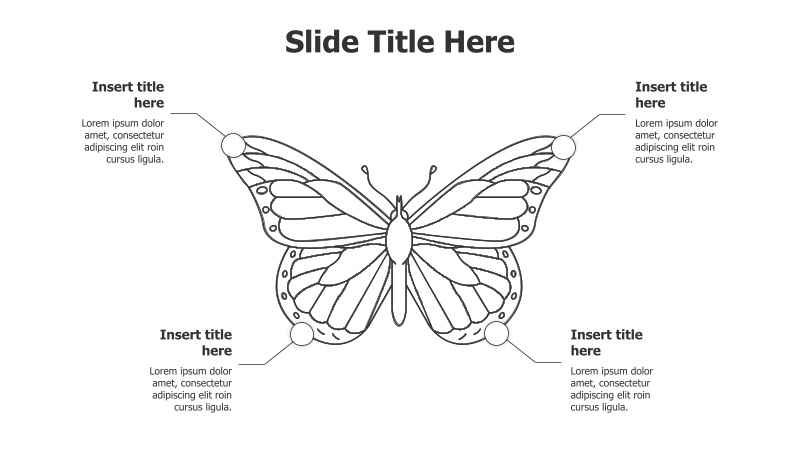 4-Point Butterfly Infographic
