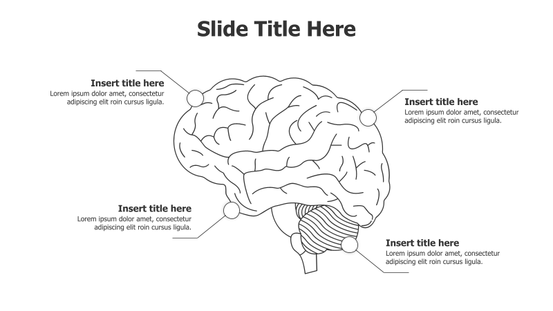 4-Point Brain Infographic