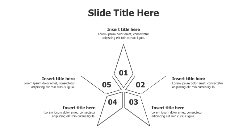 5-Point Star Infographic