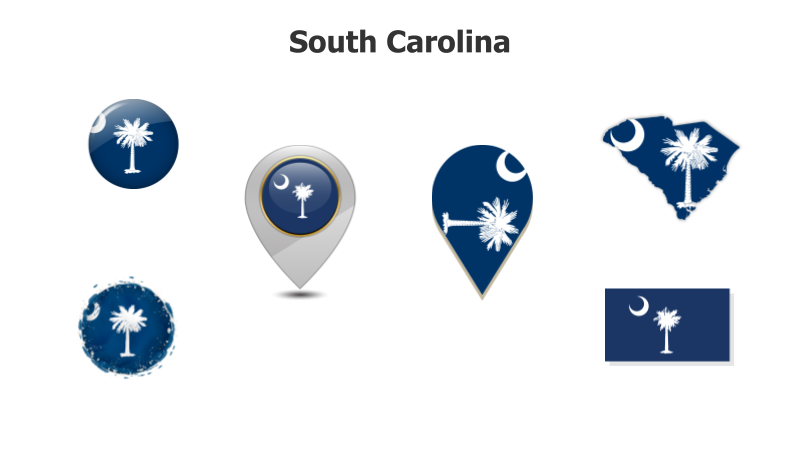 South Carolina Flag Variations