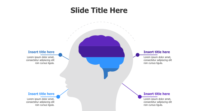 4-Point Brain Infographic