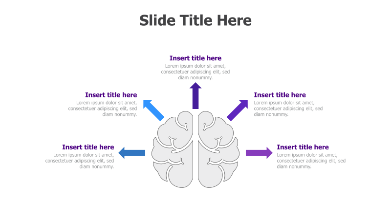 5 Points Around Brain Diagram