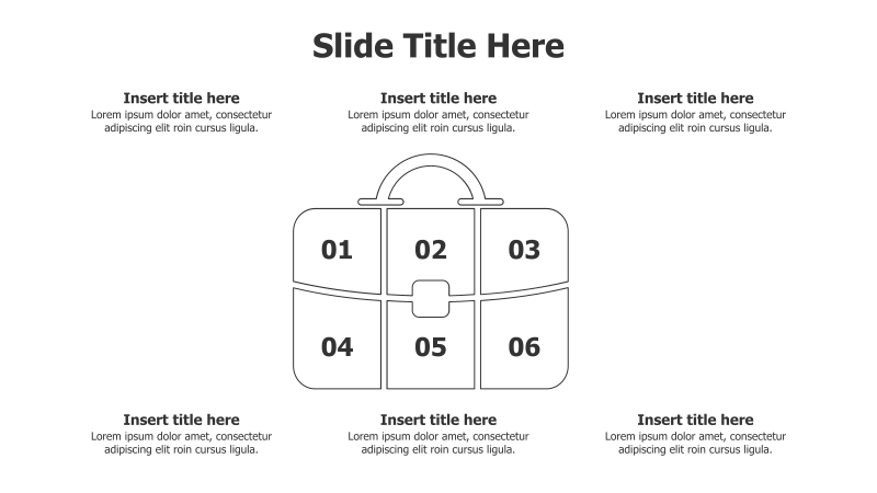 6-Point Handbag Infographic
