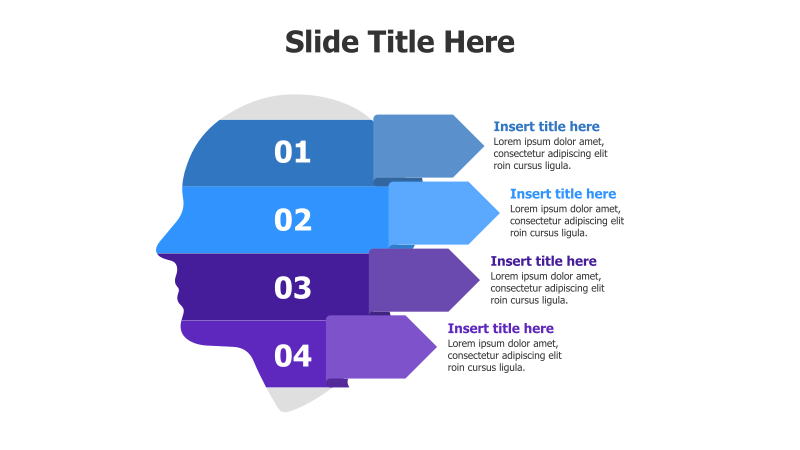 4-Step Head Infographic