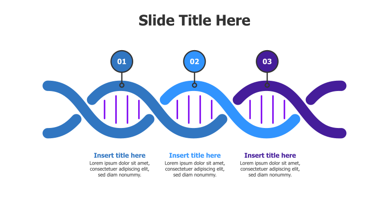 3-Point DNA Infographic