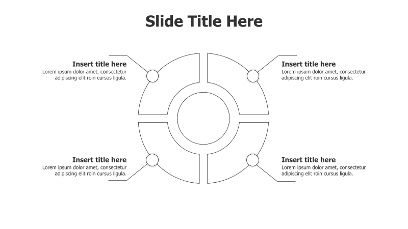 4-Point Divided Circle Infographic