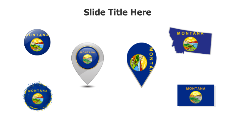 Montana State Flag Variations