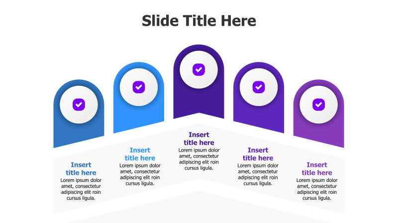 5-Point Curved Stripes Infographic