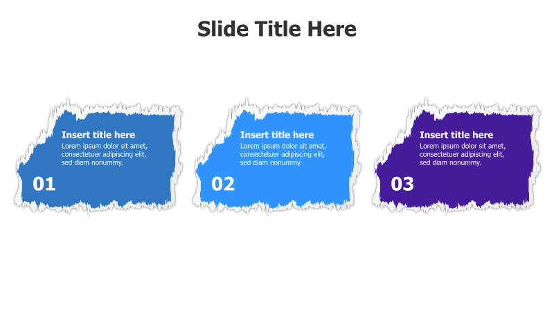 3-Point Torn Paper Infographic