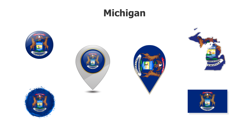 Michigan State Flag Variations