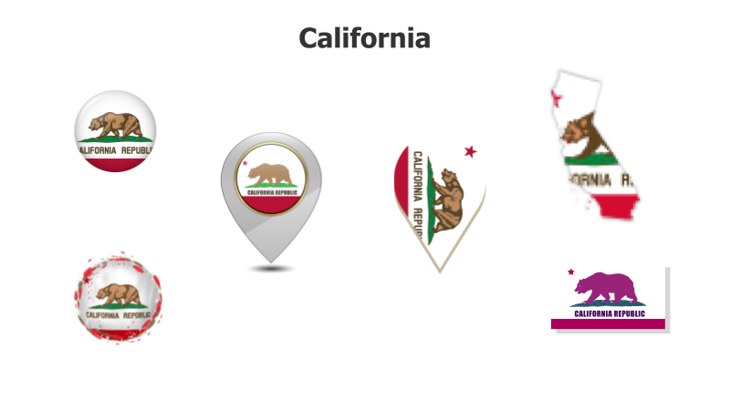California State Flag Variations
