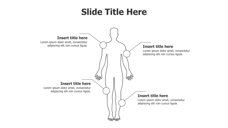 4-Point Human Body Infographic